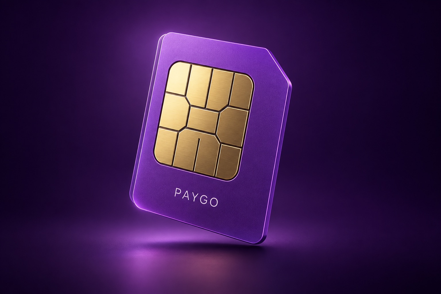 PayGo 紫卡概念示意图，并非实物包装照片